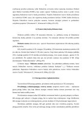 Kas yra monetarinė politika? 10 puslapis