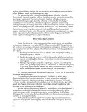 Monopolinė rinka. Monopolinių rinkų pavyzdžiai ir ypatybės Lietuvos ūkyje 12 puslapis