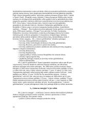 Monopolinė rinka. Monopolinių rinkų pavyzdžiai ir ypatybės Lietuvos ūkyje 14 puslapis