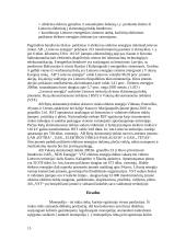 Monopolinė rinka. Monopolinių rinkų pavyzdžiai ir ypatybės Lietuvos ūkyje 15 puslapis