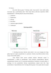 Motyvacija ir motyvatoriai 8 puslapis