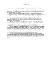 Namų valdos vertės nustatymas 3 puslapis