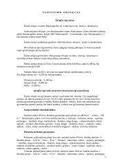 Namų valdos vertės nustatymas 5 puslapis