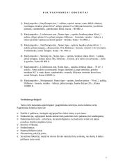 Namų valdos vertės nustatymas 7 puslapis