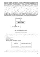 Naujo kompiuterio koncepcijos patikrinimas 11 puslapis