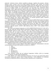 Naujo kompiuterio koncepcijos patikrinimas 13 puslapis