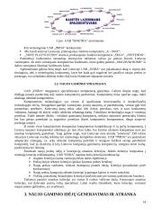 Naujo kompiuterio koncepcijos patikrinimas 14 puslapis