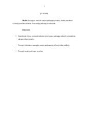 Naujo produkto kūrimas ir įvedimas į rinką 2 puslapis