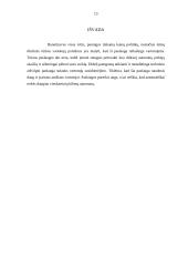 Naujo produkto kūrimas ir įvedimas į rinką 13 puslapis