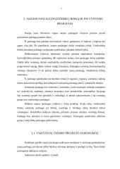 Naujo produkto kūrimas ir įvedimas į rinką 7 puslapis