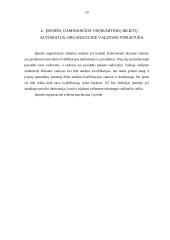 Naujo produkto kūrimas ir įvedimas į rinką 10 puslapis