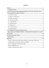 Neapmokestinamos Lietuvos respublikos gyventojų pajamos 2 puslapis