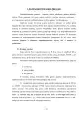 Neapmokestinamos Lietuvos respublikos gyventojų pajamos 11 puslapis