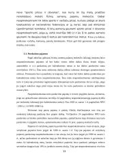 Neapmokestinamos Lietuvos respublikos gyventojų pajamos 13 puslapis
