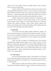 Neapmokestinamos Lietuvos respublikos gyventojų pajamos 15 puslapis
