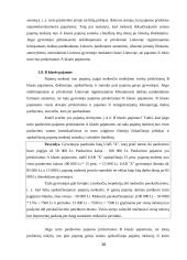 Neapmokestinamos Lietuvos respublikos gyventojų pajamos 16 puslapis