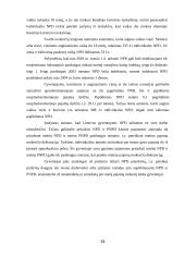 Neapmokestinamos Lietuvos respublikos gyventojų pajamos 19 puslapis