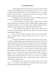 Neapmokestinamos Lietuvos respublikos gyventojų pajamos 6 puslapis