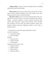 Nedarbas Lietuvoje: jo priežastys ir paplitimas 11 puslapis