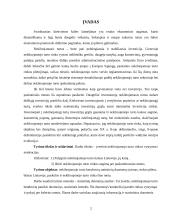 Nekilnojamojo turto rinkos analizė Lietuvoje 2 puslapis