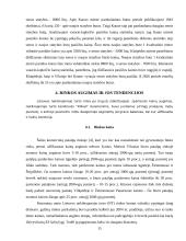 Nekilnojamojo turto rinkos analizė Lietuvoje 15 puslapis