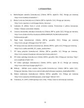 Nekilnojamojo turto rinkos analizė Lietuvoje 18 puslapis