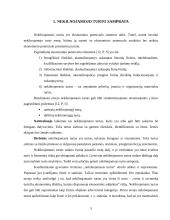 Nekilnojamojo turto rinkos analizė Lietuvoje 3 puslapis