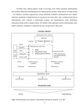 Nekilnojamojo turto rinkos analizė Lietuvoje 5 puslapis