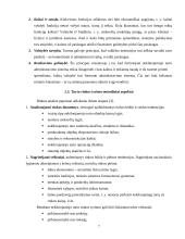 Nekilnojamojo turto rinkos analizė Lietuvoje 7 puslapis