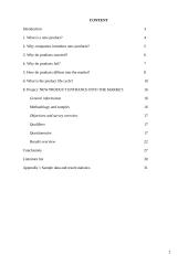 New product entrance into the market 2 puslapis