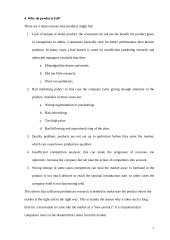 New product entrance into the market 7 puslapis