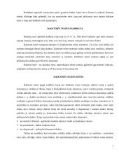 Nuosavybės teisės gynyba 4 puslapis