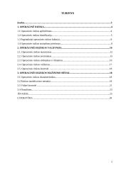 Operacinė rizika 2 puslapis