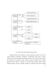 Operacinė rizika 11 puslapis