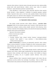 Operacinė rizika 12 puslapis