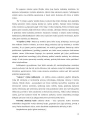 Operacinė rizika 13 puslapis