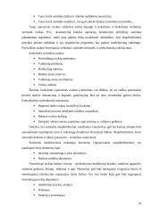 Operacinė rizika 14 puslapis