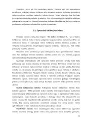 Operacinė rizika 15 puslapis