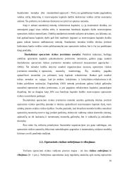 Operacinė rizika 16 puslapis