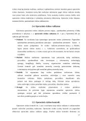 Operacinė rizika 17 puslapis