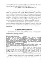 Operacinė rizika 18 puslapis