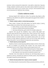 Operacinė rizika 19 puslapis