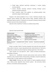 Operacinė rizika 20 puslapis