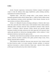 Operacinė rizika 3 puslapis