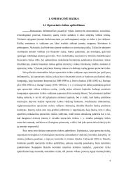 Operacinė rizika 4 puslapis