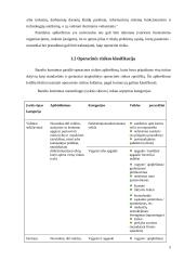 Operacinė rizika 5 puslapis