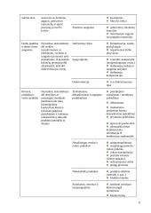 Operacinė rizika 6 puslapis