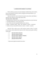 Operacinė rizika 10 puslapis