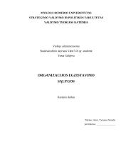 Organizacijos egzistavimo sąlygos