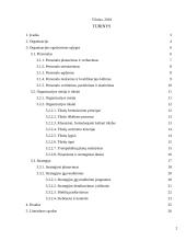 Organizacijos egzistavimo sąlygos 2 puslapis